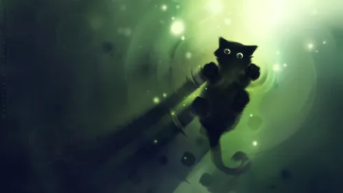 cat
