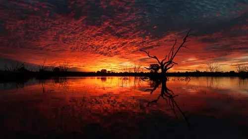 holy-shit-this-sunset