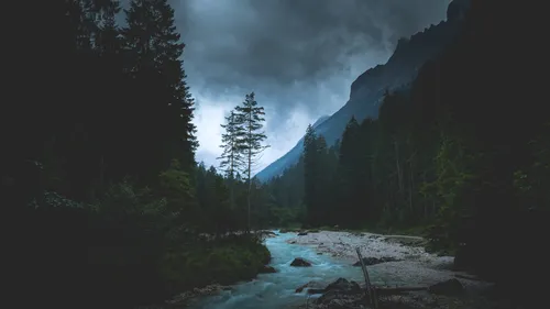 misty-forest-river