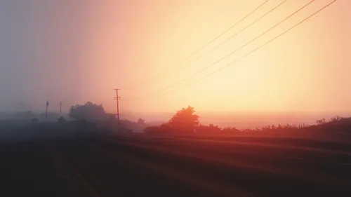 misty-roadside-power-line