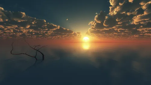 sunrise-over-branch-in-water