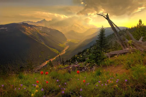 flowery-mountain-view
