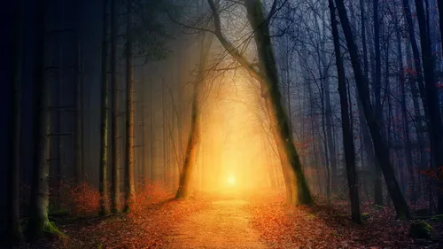 light-at-the-end-of-the-hiking-trail