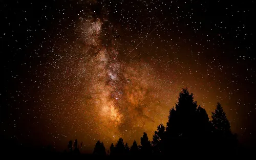 milky-way-over-a-woods-silhouette