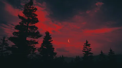 red-moon-over-a-woods-silhouette