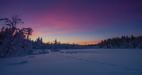 snowy-sunset