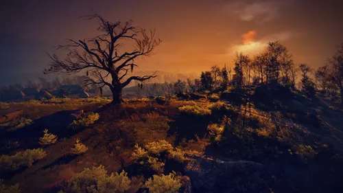 the-witcher-hanged-mans-tree